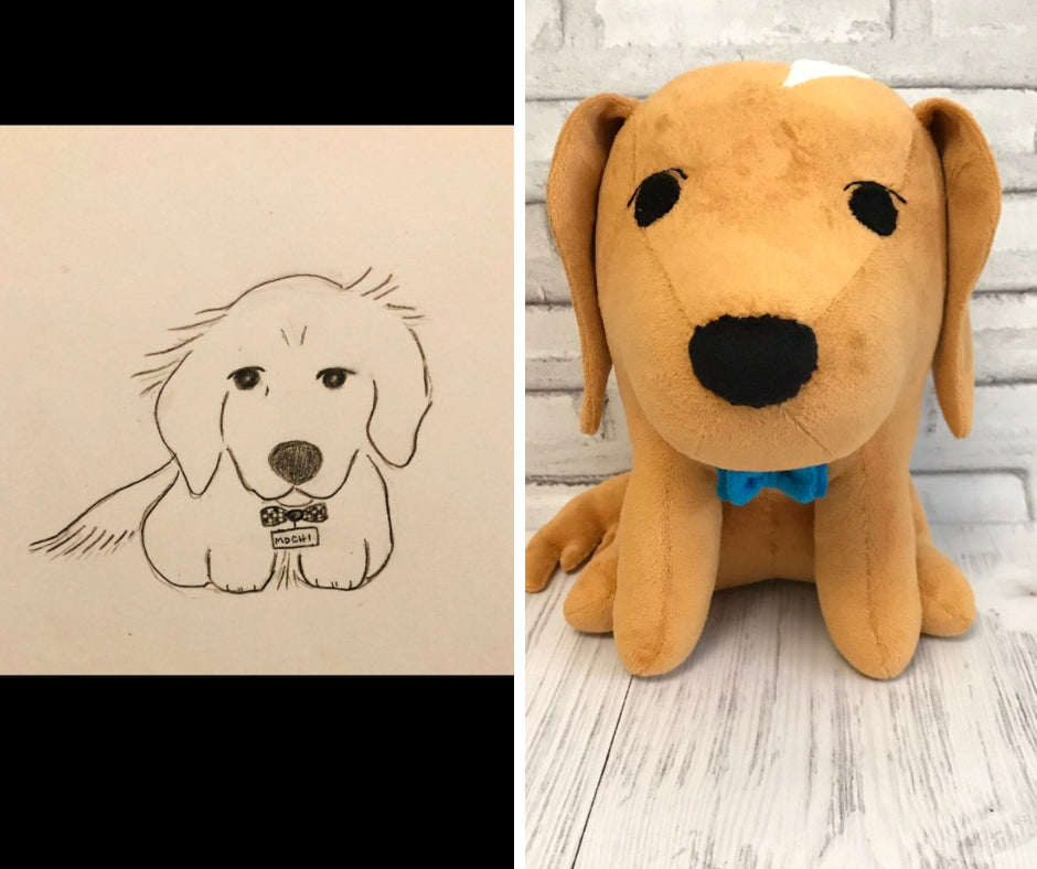 Custom plush from picture or drawing